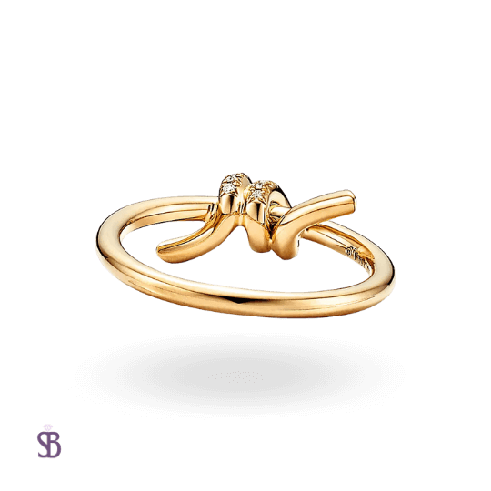 Anillo Lazo de Amor (HOT SALE 🔥)