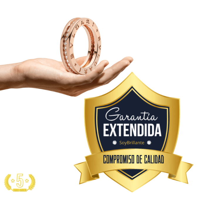 Extensión de Garantía ( ✅ AHORA -10% DE DESCUENTO)