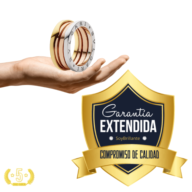 Extensión de Garantía ( ✅ AHORA -10% DE DESCUENTO)